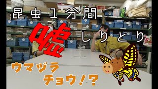 【新種！？】昆虫１分間ウソしりとり　Part7【ウマヅラチョウ】