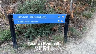 塔斯曼半島/化石灣/噴水洞/塔斯曼拱橋/魔鬼廚房 Tasman Peninsula/Fossil Bay/Blowhole/Tasmans Arch/Devils Kitchen