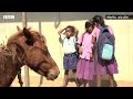 horse ride to school शाळेत जाण्यासाठी या मुलांचा घोड्यावरुन प्रवास...