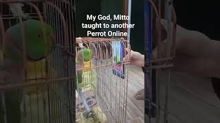 Perrot taughing Online. #trending #trending #trend #viral #viralvideo