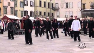 FEFF16: Taiji Quan Flash Mob (Udine - 2014)