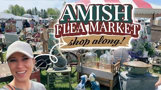 Back at the Amish Flea Market and it DID NOT DISAPPOINT!