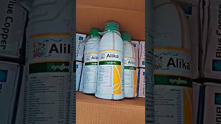 अलिका कीटनाशक 💯🐛 SYNGENTA ALIKA INSECTICIDE #shortvideo #farmingwitharjun247