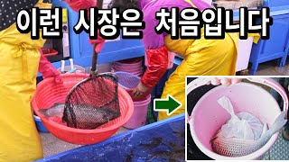 손님이 직접 회를 들고 나르는..부산 현지인이 추천한 민락동회센타 이용 후기