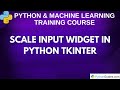 Scale Input Widget in Python Tkinter