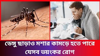 ডেঙ্গু ছাড়াও মশার কামড়ে হতে পারে যেসব ভয়াবহ রোগ |