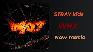 STRAY kids 'WHY' @StrayKids