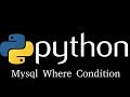 Python with Mysql tutorial -  Where Condition