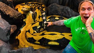 HANDLING THE LARGEST SNAKES IN THE WORLD!! | BRIAN BARCZYK