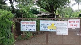 Tapovan Nursery Nashik | Plant Nursery in Nashik, Maharashtra |(Nashik Wholesale Plant Nursery)