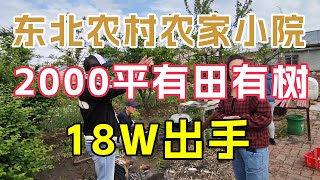 黑龙江省五常市山河镇农家小院，2000平带田带果树现场谈价，门前就是稻田地景色宜人【鬼头看房】