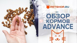 ОБЗОР СУХИХ КОРМОВ ДЛЯ КОШЕК И СОБАК ADVANCE