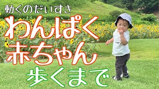 0歳赤ちゃんが歩くようになるまで