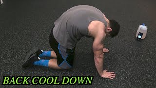 5 Minute Back Static Stretching Routine | Cool Down
