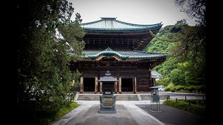 KAMAKURA   Kenchoji Temple (2023)