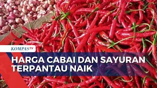 Kekeringan Dampak El Nino, Harga Cabai dan Sayuran di Lebak Alami Kenaikan