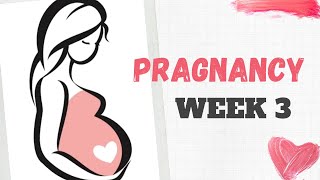 Pregnancy | 3rd week | கர்ப்பம் வாரம் மூன்று | pregnancy symptoms | week by week | Tamil