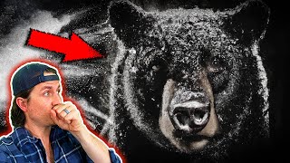The INSANE, TRUE story of Cocaine Bear