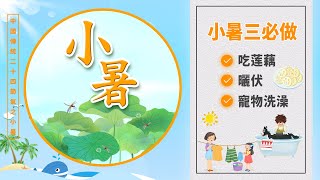 【今日小暑】2022.7.7小暑來了~今天必吃藕？怎麼做最消暑？|中國史，NICE！