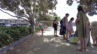 (4k) Summer walk. Kohimarama Beach, Auckland, New Zealand | January 5, 2022.