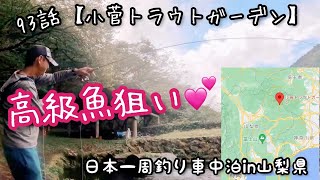 A121【93話：山梨県小菅トラウトガーデンで高級魚Rush💕】日本一周in山梨県