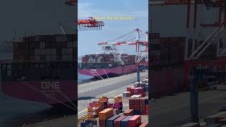 Container Ship Container loading and unloading in port #shorts