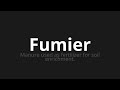 how to pronounce fumier