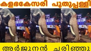 അർജുനൻ ചെരിഞ്ഞു, ഇനിയില്ല ഈ ആന  | Puthuppally arjunan  | puthuppally elephants | kerala elephant 🌹🌹🌹