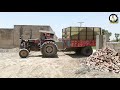 acriculture silage making process in punjab pakistan