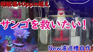 新水槽システム（濾過槽）で硝酸塩対策！！