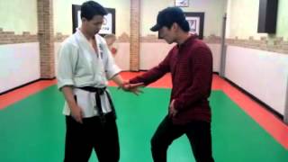 Hapkiyusul, Hoshinkwan, 합기유술,호신술, hapkiyusul,  hapkido   관수찔러던지기