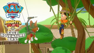 PAW Patrol Mighty Pups Save Adventure Bay - SAVE CARLOS 100% Completion