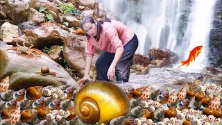 Guide To Harvesting Snails And How To Make Delicious Snail Dishes