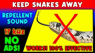 ANTI SNAKES REPELLENT SOUND ⛔🐍 KEEP SNAKES AWAY - ULTRASONIC SOUND