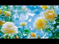 Peaceful Music to Overcome Anxiety and Relax Effortlessly 🍀 Relax Your Mind