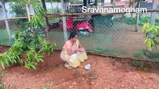 Farm living family॥gardening vlog॥ఆకు కూరలు అల్లు జాతి విత్తనాలు నాటాను@sravanamegham