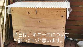 生ゴミ処理機キエーロの使い方　幸せな食卓の惑星 PART 1