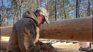 Highlights log cabin build part 5. Walls are going up! Scribing the logs, cutting the notches.