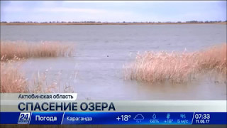 В Актюбинской области спасают озеро Шалкар