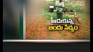 Jai Kisan TS -18th July 2016 -  డ్రిప్‌ ఆసరాతో వరంగల్‍లో ఆశాజనకంగా మెట్ట పంటల సేద్యం