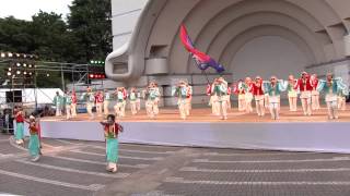 妃龍〔原宿スーパーよさこい２０１３　１日目　じまん市ステージ〕