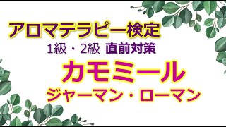 カモミール 精油の解説【1級範囲】