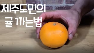 제주도민의 귤 까는법 / 감귤 농부의 귤 까기 팁 - 한번 따라 해보세요