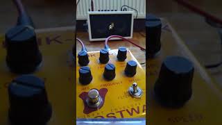 Frostwave Funk-a-Duck Bass Demo 1 - Funkiest Craziest Envelope Filter