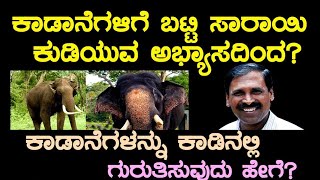 ಕಾಡಾನೆಗಳಿಗೆ ಭಟ್ಟಿ ಸಾರಾಯಿ ಕುಡಿಯುವ ಅಭ್ಯಾಸದಿಂದ? ಕಾಡಾನೆಗಳನ್ನು ಕಾಡಿನಲ್ಲಿ ಗುರುತಿಸುವುದು ಹೇಗೆ?|| Dr. Nagaraj