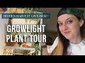 Houseplant Tour: Grow Light Lovers | Hidden Harvest Giveaway!