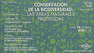 Conservación de la biodiversidad: las áreas naturales protegidas