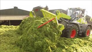 Silage 2018 - George Walshe Agri With JCB 435s And Claas Torion 1511 On The Pit (HD)