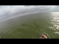 angeln fishing mit maden auf hornhecht garfish tight lines 028 gopro ostsee