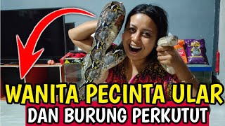 ULAR PITON TERBESAR KOLEKSI WANITA...‼️